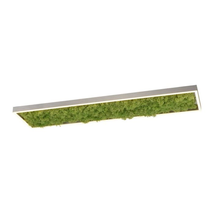 Люстра Zuma Line 15623-66 GREEN KNUT