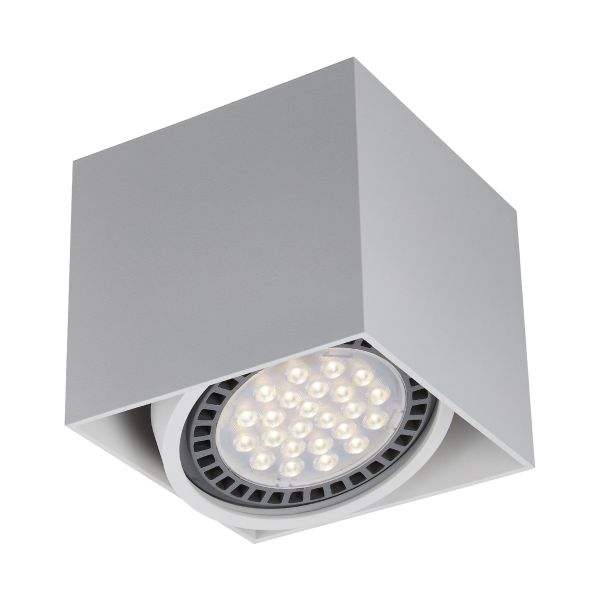 Точковий світильник Zuma Line ACGU10-114-N BOX