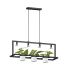 Підвісний світильник Zuma Line P0536-04B-P7AB PLANTER