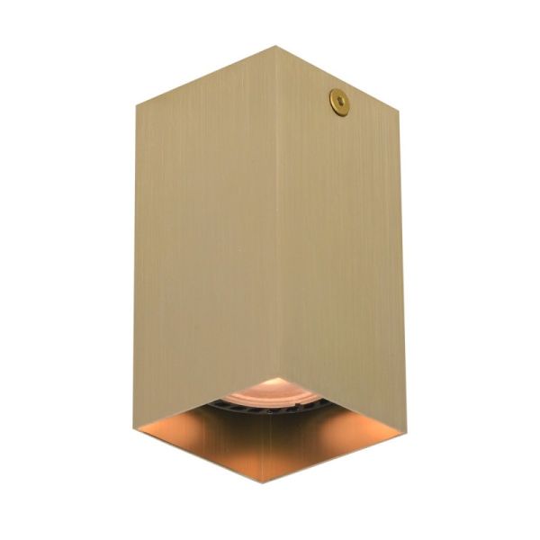 Точковий світильник ITALUX CLN-28394-S-GD Ander