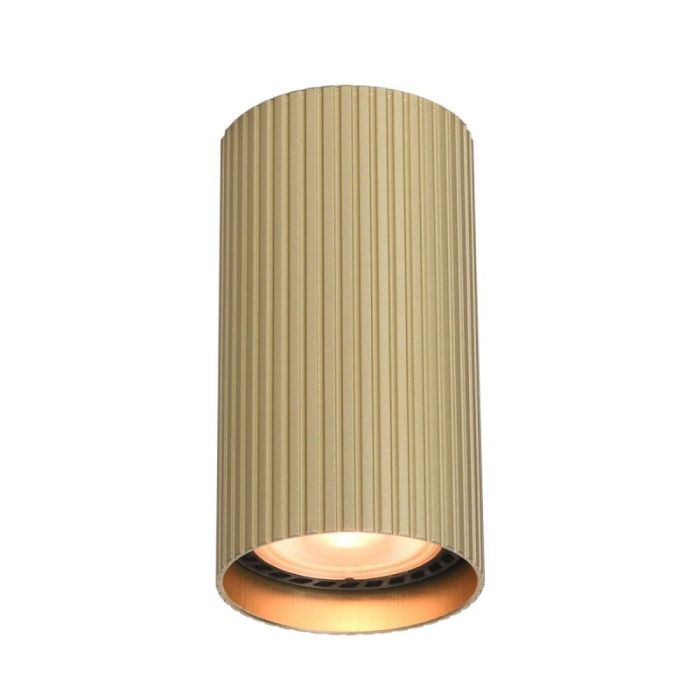Точковий світильник ITALUX CLN-83920-S-GD Rilok