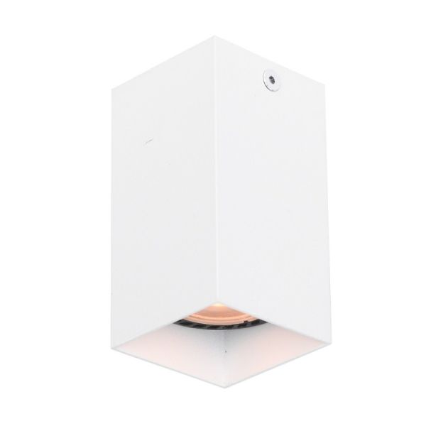 Точковий світильник ITALUX CLN-28394-S-WH Ander