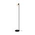 Торшер Zuma Line R5021009A-1F STEM