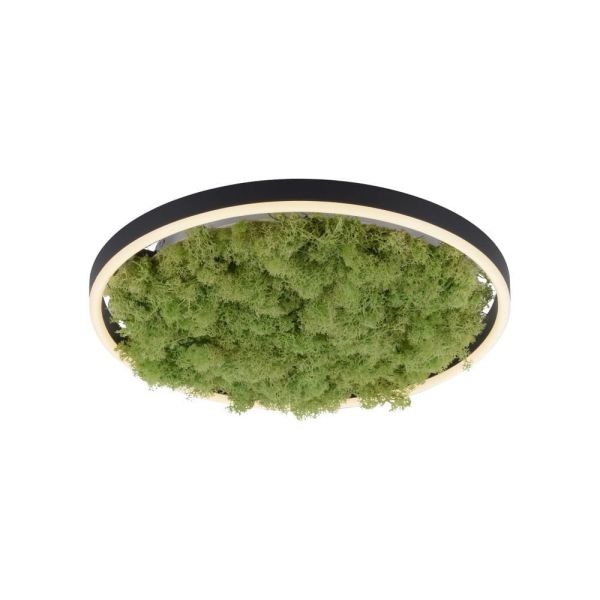Люстра Zuma Line 15391-66 GREEN RITUS