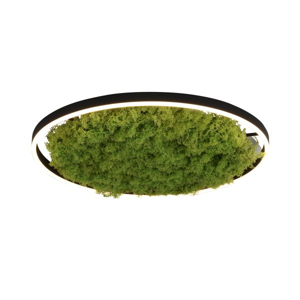 Люстра Zuma Line 15392-66 GREEN RITUS