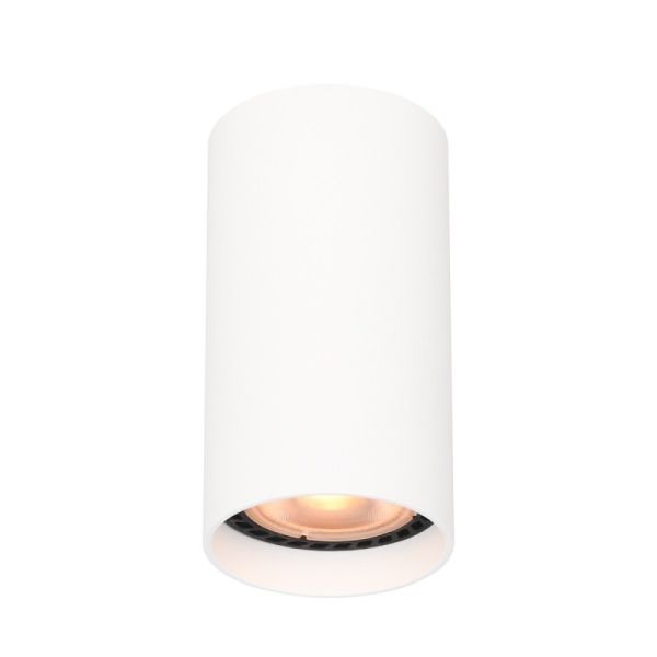 Точковий світильник ITALUX CLN-48930-S-WH Lopus
