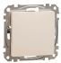 Заглушка Schneider Sedna Design SDD112904 Бєжевий